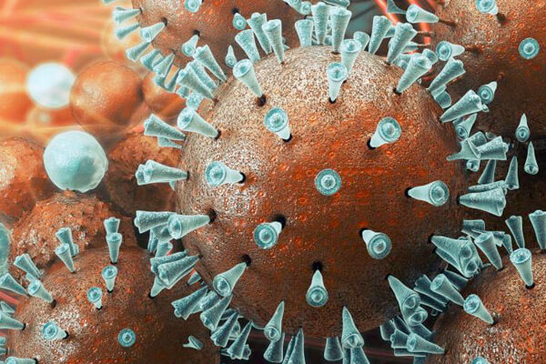 Cuánto tiempo permanece activo el coronavirus en la piel
