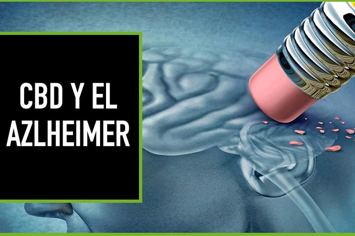 Tratamiento De CBD Para El Alzheimer