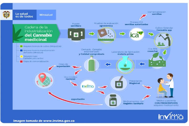 El viaje del cannabis medicinal en Colombia ¿cómo empezó esta historia?