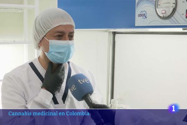 El cannabis medicinal: un negocio en auge en Colombia pese al estigma y los recelos