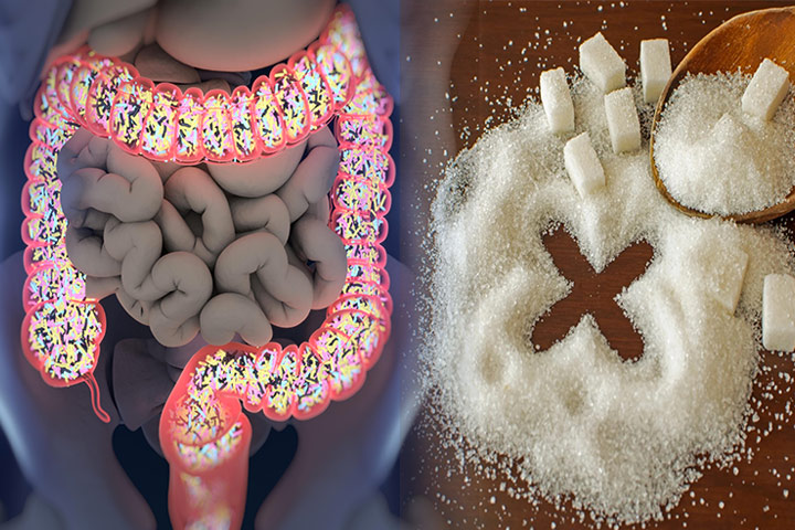 El azúcar altera la microbiota intestinal, eliminando la protección contra la obesidad y la diabetes.