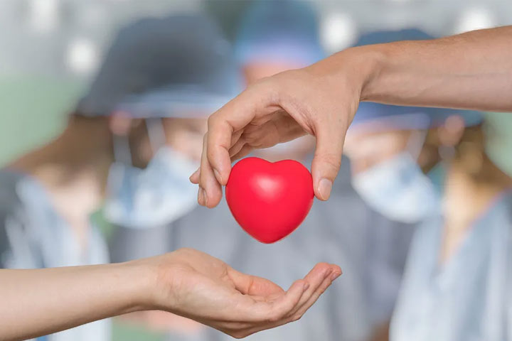 Día Mundial de la Donación de Órganos, Tejidos y Trasplantes: ¿por qué se  conmemora el 14 de octubre? | Federación Médica Colombiana