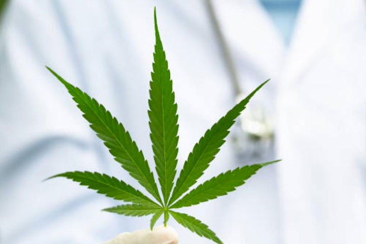 Tome nota: así está reglamentado el cannabis medicinal en Colombia