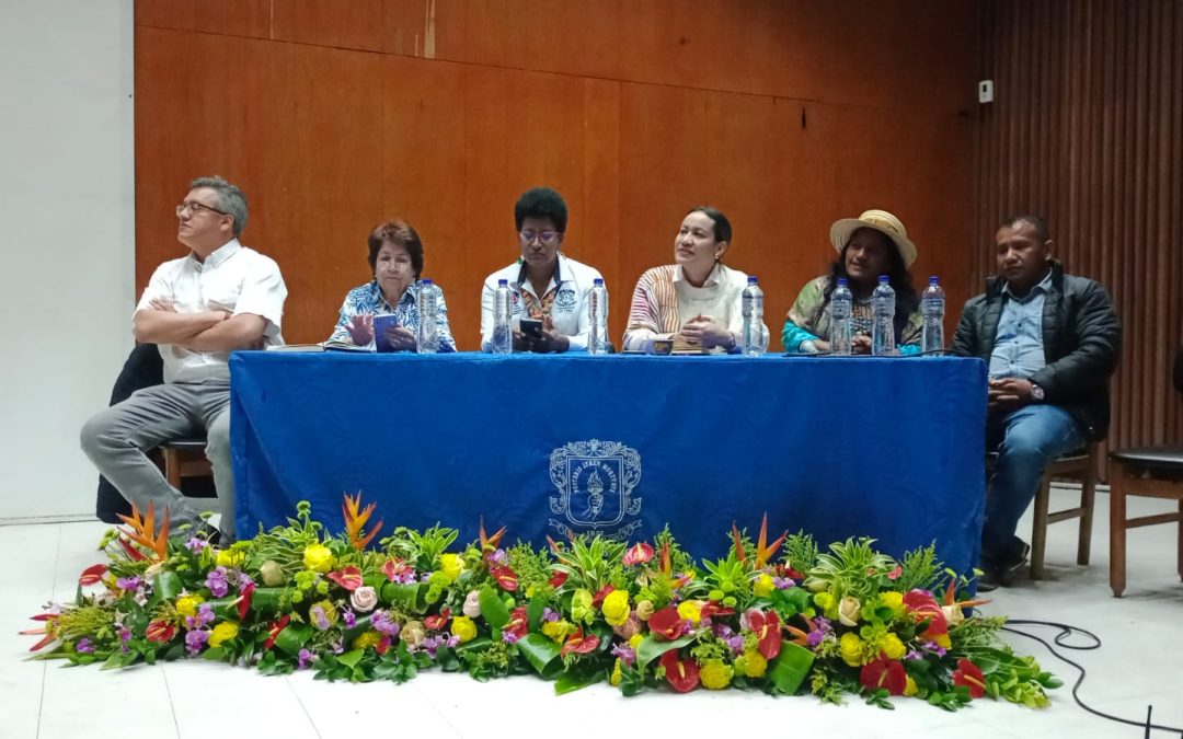 Sumario y análisis de la 2ª Pre-Cumbre por la Salud del Cauca