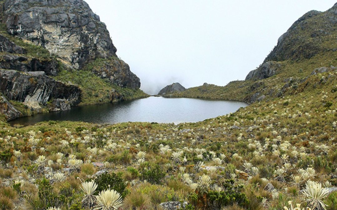 Santurbán: la ciencia no se revoca