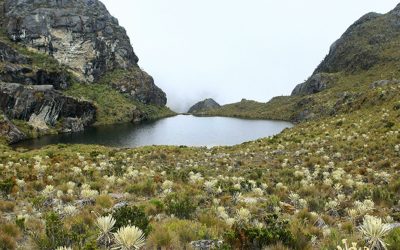 Santurbán: la ciencia no se revoca