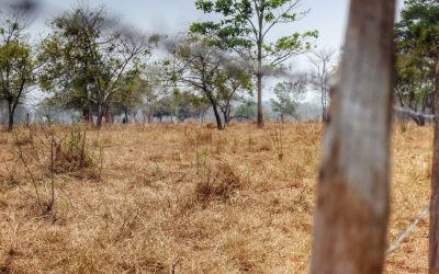 El formalismo jurídico frena la prevención de una catástrofe climática